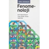 Nitel Desenler: Fenomenoloji