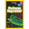 Parlayan Hayvanlar - Seviye 1
