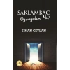 Saklambaç Oynayalım mı?