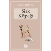 Sirk Köpeği