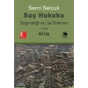 Suç Hukuku Dogmatiği ve/ya Grameri I. Kitap - Giriş