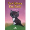 Terk Edilmiş Kedi Puslu