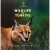 Wıldlıfe Of Türkiye