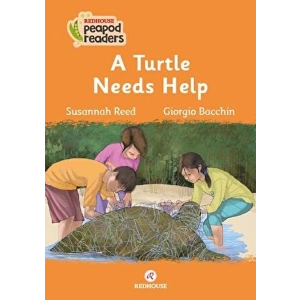 A Turtle Needs Help