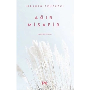 Ağır Misafir