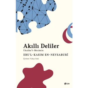 Akıllı Deliler Kitabı
