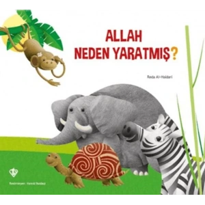 Allah Neden Yaratmış?