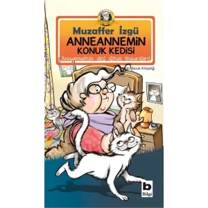 Anneannemin Konuk Kedisi