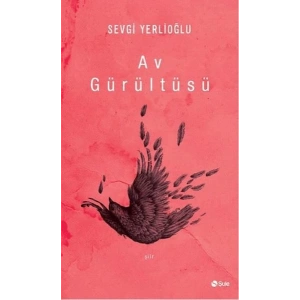 Av Gürültüsü