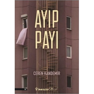 Ayıp Payı