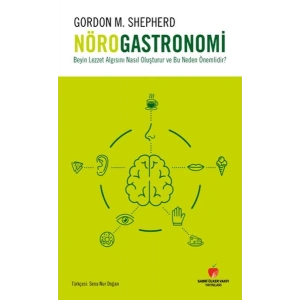 Beyin Lezzet Algısını Nasıl Oluşturur ve Bu Neden Önemlidir?