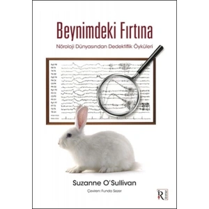 Beynimdeki Fırtına