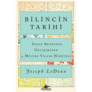 Bilincin Tarihi: İnsan Beyninin Gelişiminin 4 Milyar Yıllık Hikayesi