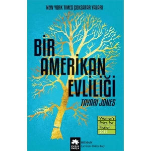 Bir Amerikan Evliliği