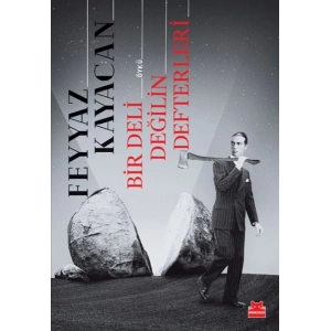 Bir Deli Değilin Defterleri