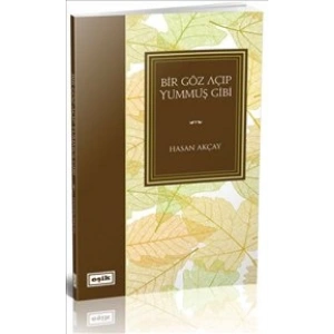 Bir Göz Açıp Yummuş Gibi