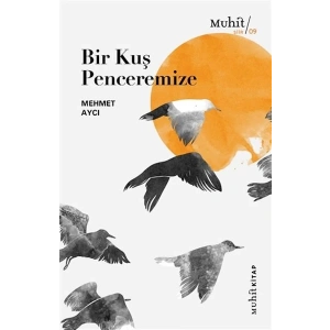 Bir Kuş Penceremize