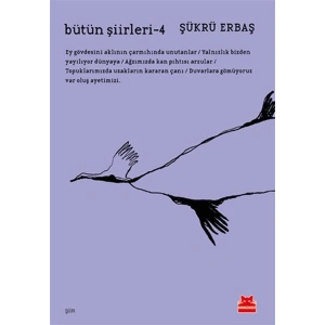 Bütün Şiirleri 4