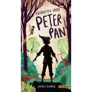 Büyümeyen Çocuk Peter Pan