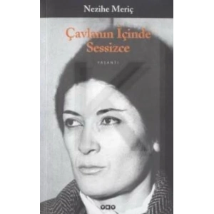 Çavlanın İçinde Sessizce