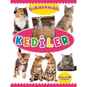 Çıkartmalı Kediler