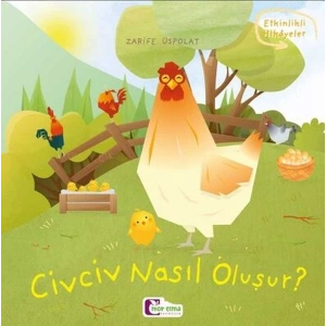 Oluşum Hikayeleri - Civciv nasıl oluşur?