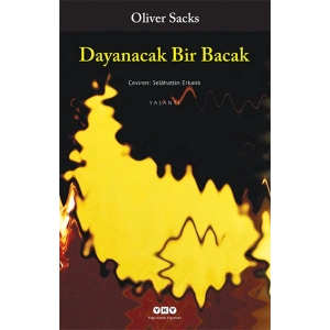 Dayanacak Bir Bacak