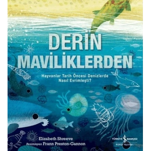 Derin Maviliklerden