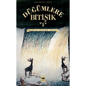 Düğümlere Bitişik