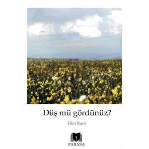 Düş mü Gördünüz?