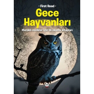 Gece Hayvanları