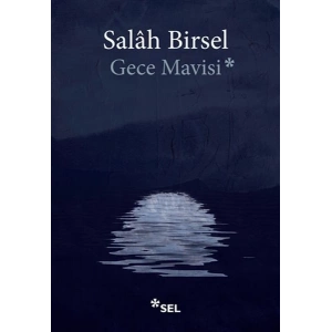 Gece Mavisi