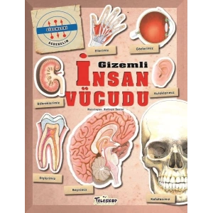 Gizemleri Öğrenelim - Gizemli İnsan Vücudu