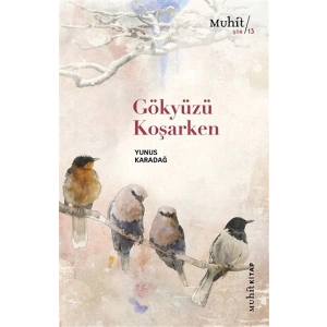 Gökyüzü Koşarken