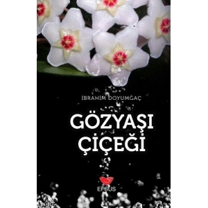 Gözyaşı Çiçeği