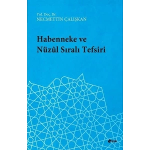 Habenneke ve Nüzul Sıralı Tefsiri