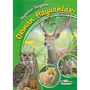 Hayvanları Tanıyorum Orman Hayvanları