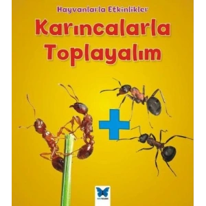 Hayvanlarla Etkinlikler - Karıncalarla Toplayalım