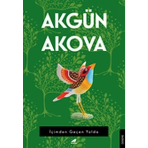 İçimden Geçen Yolda