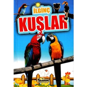 İlginç Kuşlar - İlginç Bilgiler Serisi