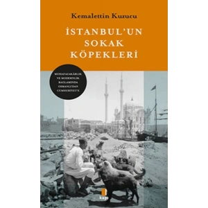 İstanbul’un Sokak Köpekleri