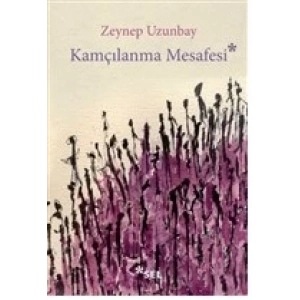 Kamçılanma Mesafesi