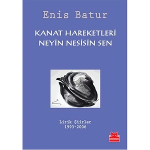 Kanat Hareketleri - Neyin Nesisin Sen  Lirik Şiirler 1993-2006