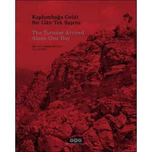 Kaplumbağa Geldi Bir Gün Tek Başına