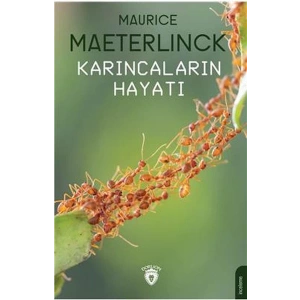 Karıncaların Hayatı