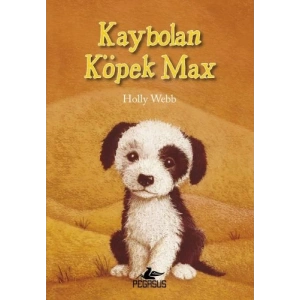 Kaybolan Köpek Max