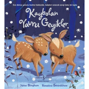 Kaybolan Yavru Geyikler