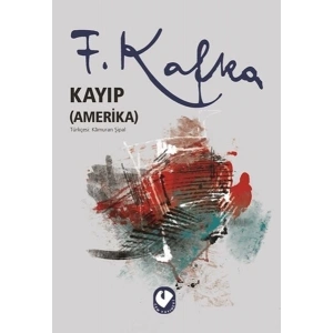 Kayıp (Amerika)