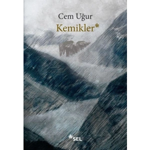 Kemikler