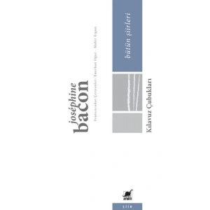 Kılavuz Çubukları